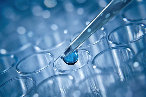 試管嬰兒技術詳解 一代、二代與三代的區別及其技術推廣服務